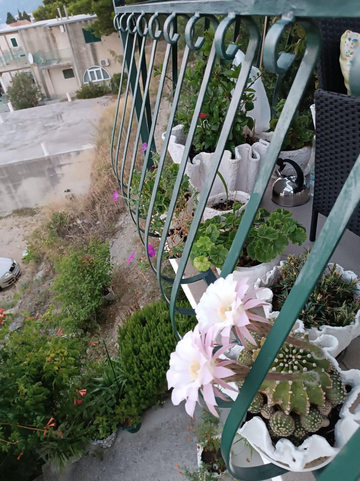 Apartment Ante Brela Kültér fotó